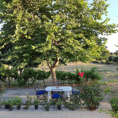 Swan House Panoramic View - Near The Sea Villa Zipárion Exterior foto
