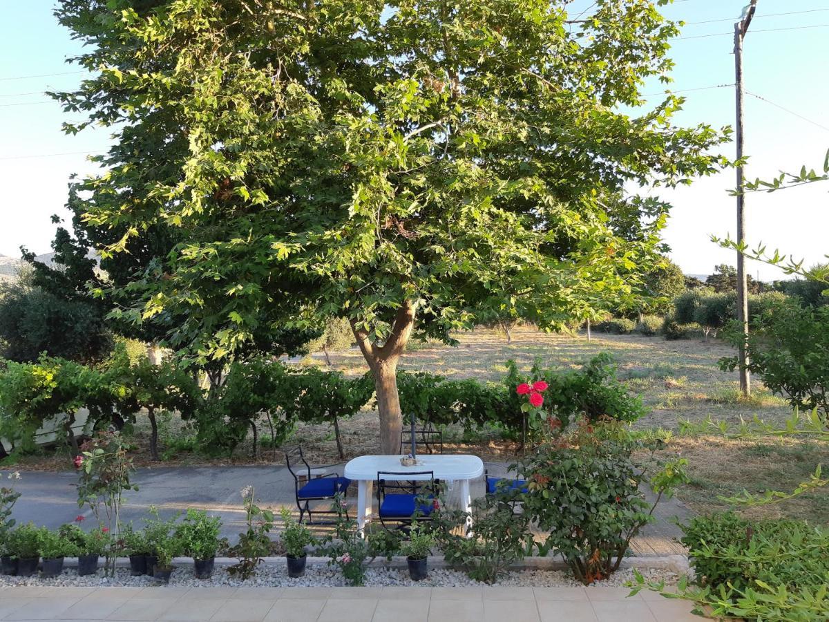 Swan House Panoramic View - Near The Sea Villa Zipárion Exterior foto