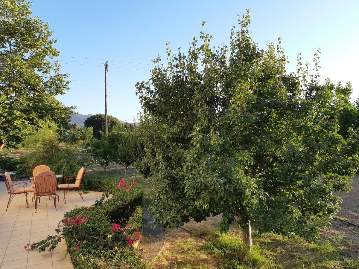 Swan House Panoramic View - Near The Sea Villa Zipárion Exterior foto