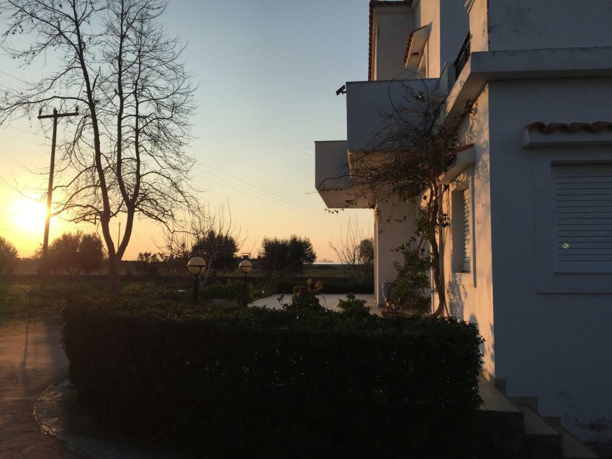 Swan House Panoramic View - Near The Sea Villa Zipárion Exterior foto